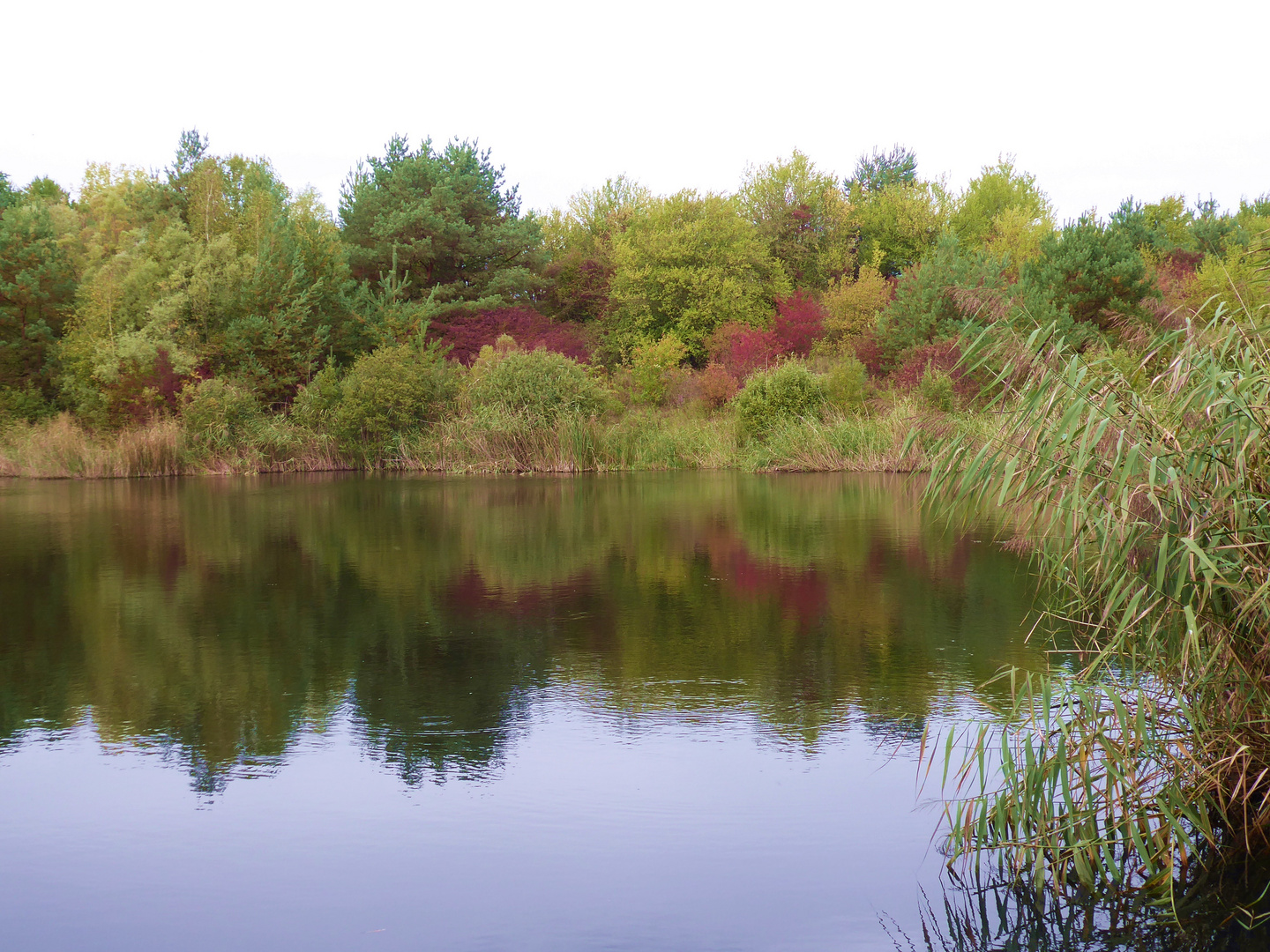 Herbst an den Lehmgruben