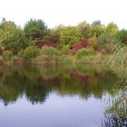 Herbst an den Lehmgruben