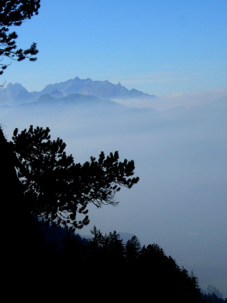 Herbst an den Löwenzähnen (Vorarlberg) von Erika Nerb 