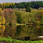 Herbst an den Reinhardsbrunner Teichen