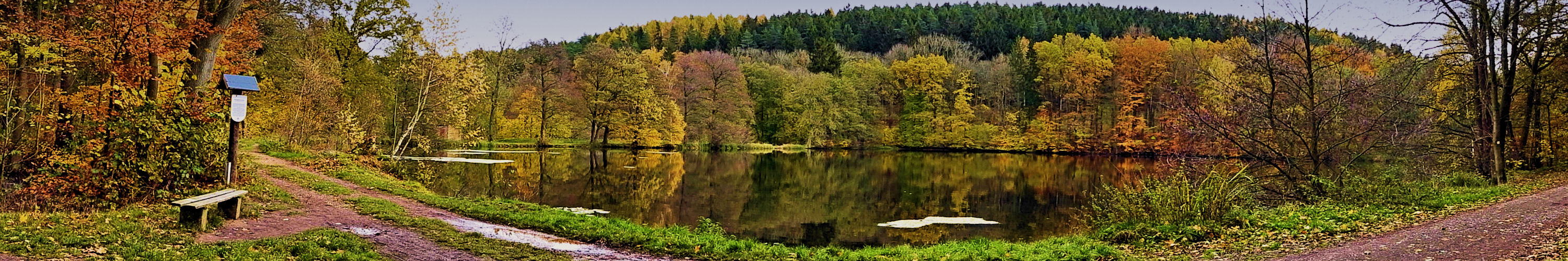 Herbst an den Reinhardsbrunner Teichen