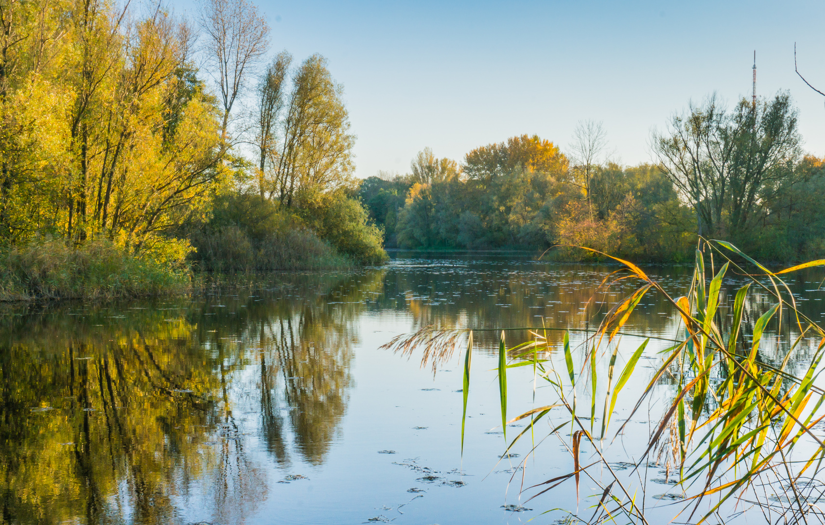 Herbst an den Ricklinger Teichen - Hannover