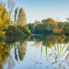 Herbst an den Ricklinger Teichen - Hannover