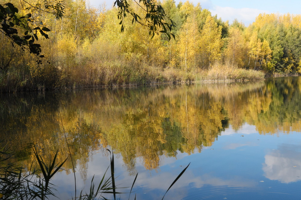 Herbst an den Teichen..