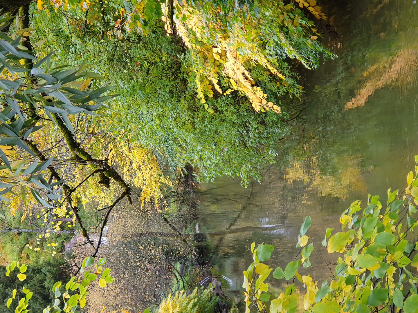 Herbst an der Aach