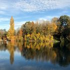 Herbst an der Aare