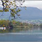 Herbst an der Aare