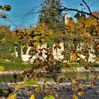 Herbst an der Aare