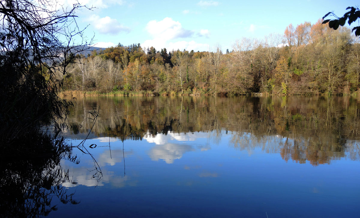 Herbst an der Aare