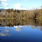 Herbst an der Aare