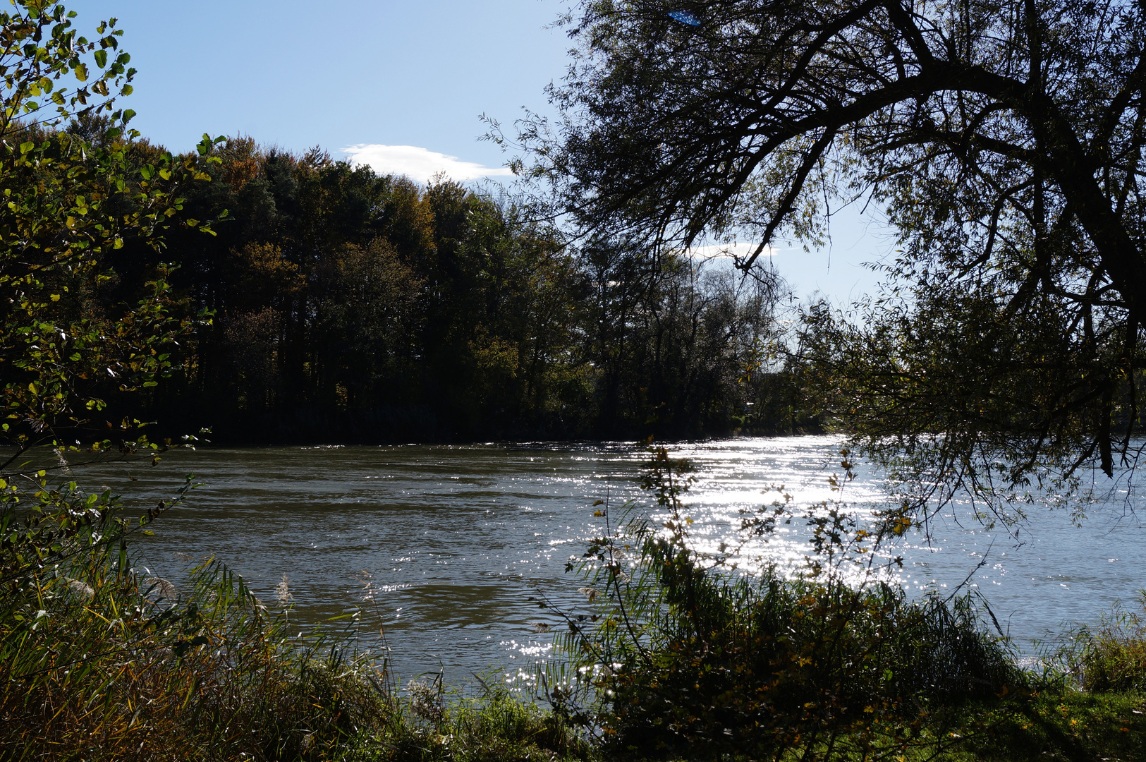 Herbst an der Aare