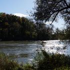 Herbst an der Aare