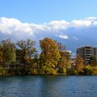 Herbst an der Aare