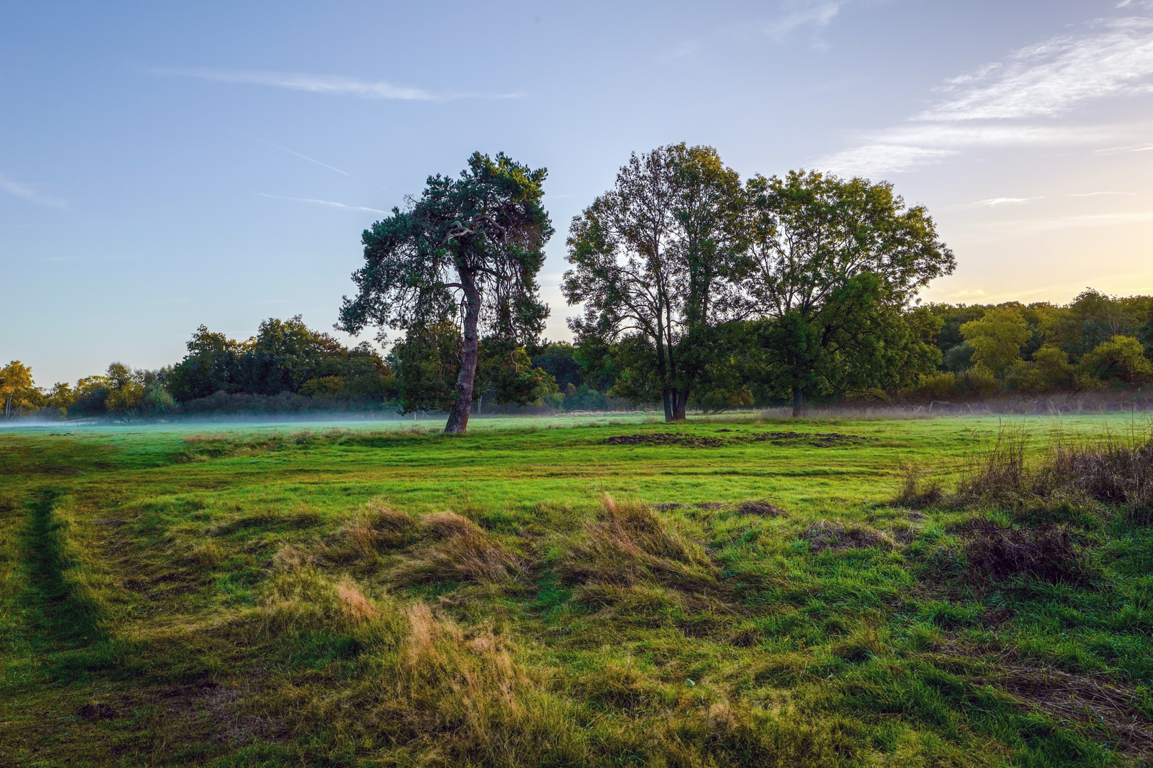 Herbst an der Agger 