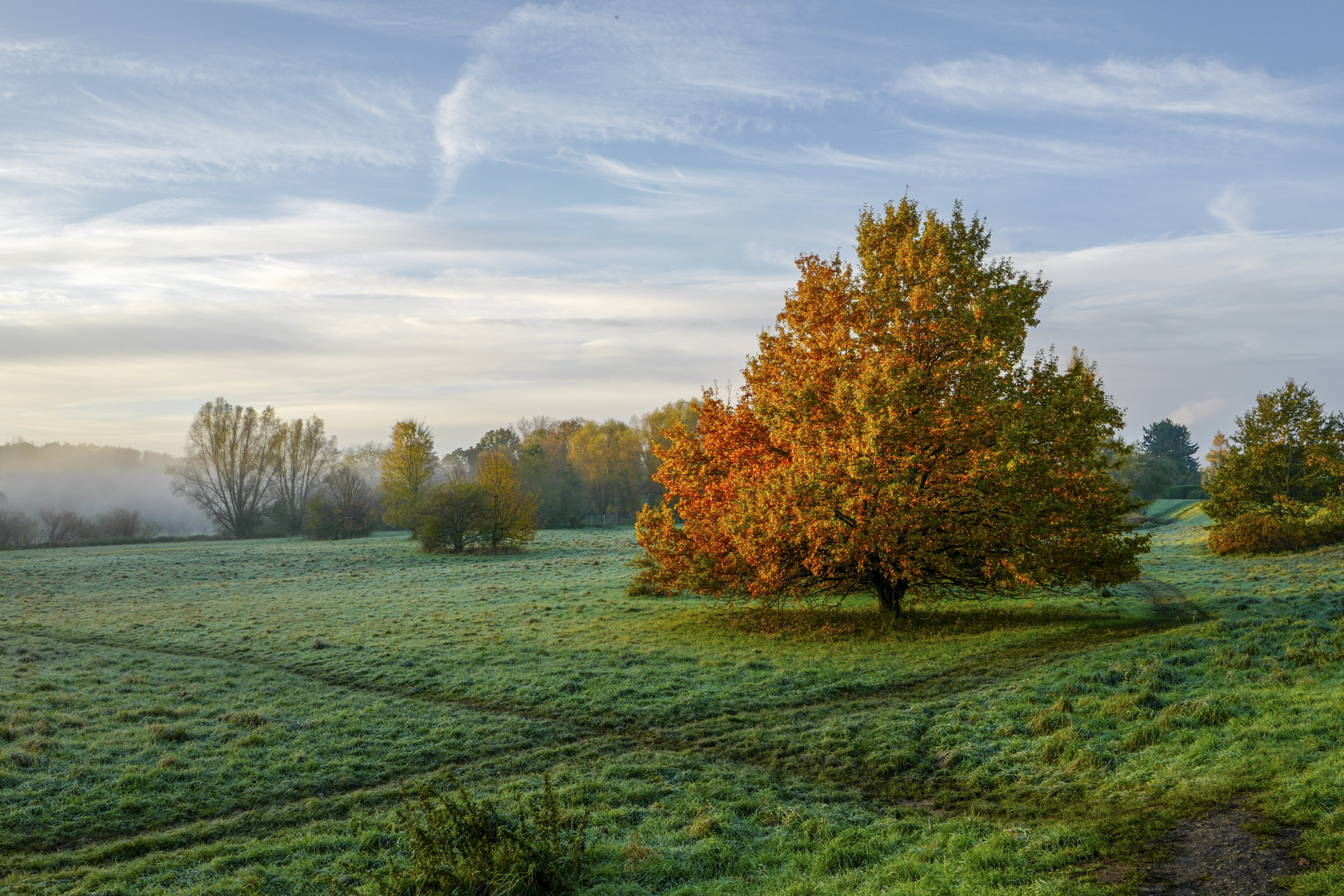 Herbst an der Agger