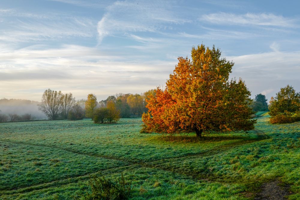 Herbst an der Agger