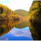 Herbst an der Aggertalsperre