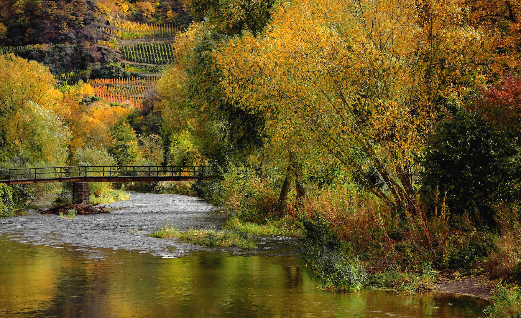 Herbst an der Ahr