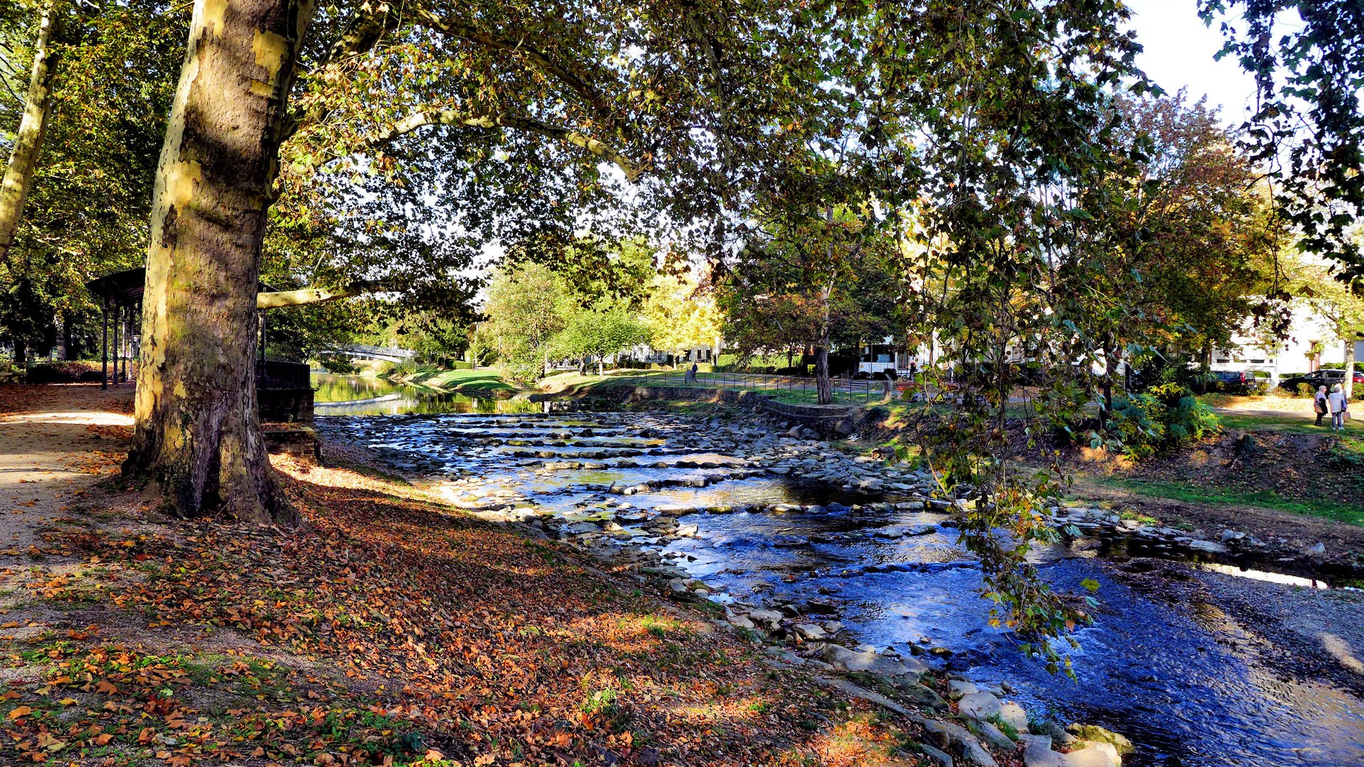 Herbst an der Ahr