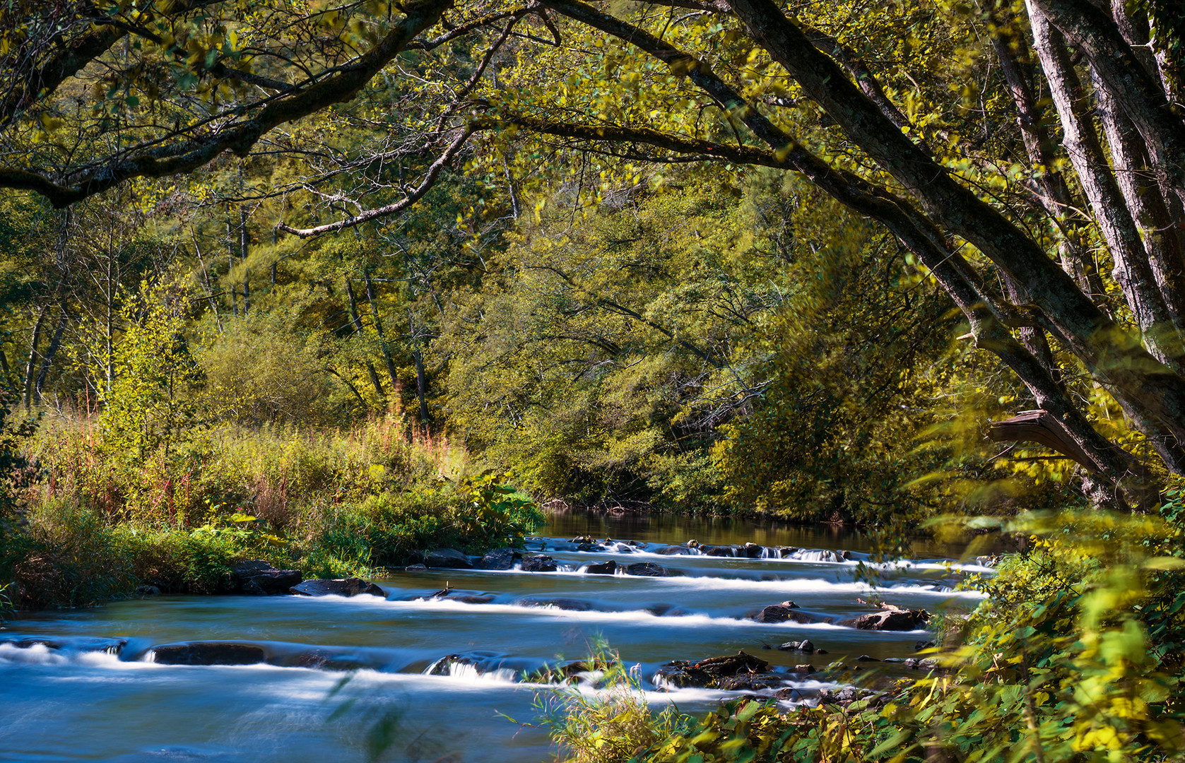 Herbst an der Ahr