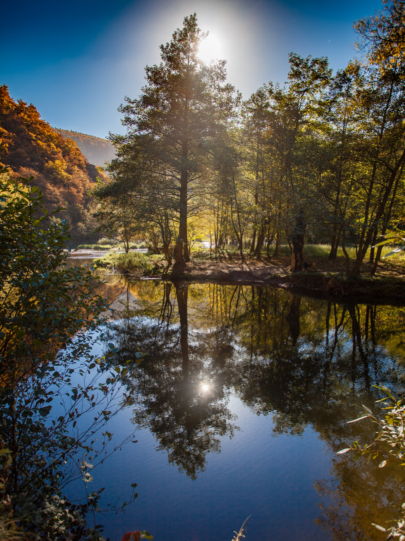 Herbst an der Ahr IMG_7460