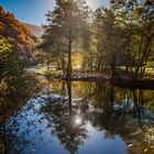 Herbst an der Ahr IMG_7460