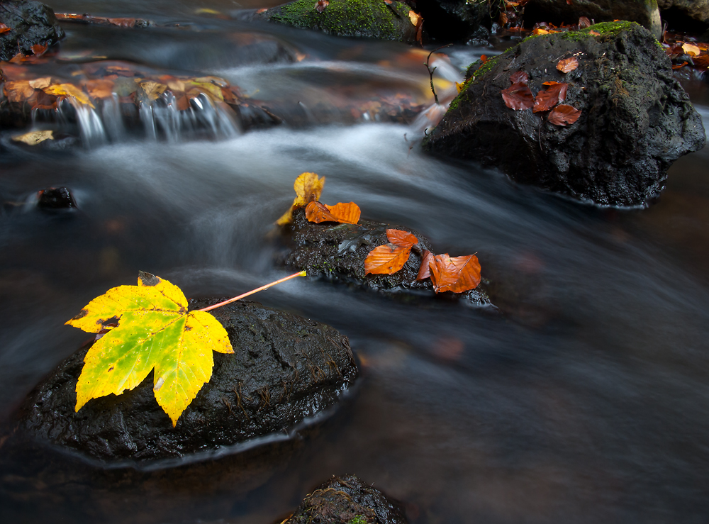 Herbst an der Alf