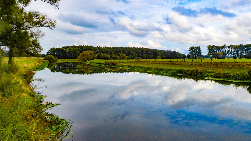 Herbst an der Aller. 