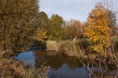 Herbst an der Alme