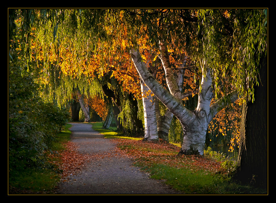 herbst an der alster