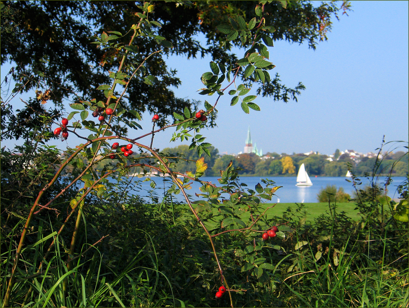 Herbst an der Alster