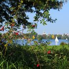 Herbst an der Alster