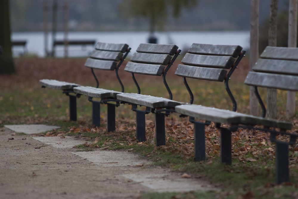 Herbst an der Alster