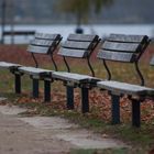 Herbst an der Alster