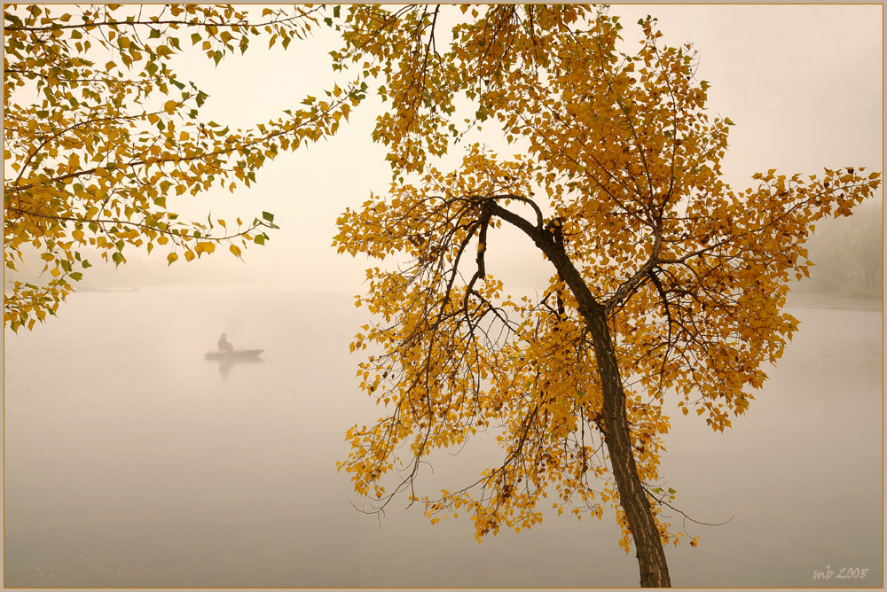 Herbst an der Alte Donau