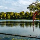 Herbst an der Alten Donau (2)