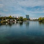 Herbst an der Alten Donau (4)