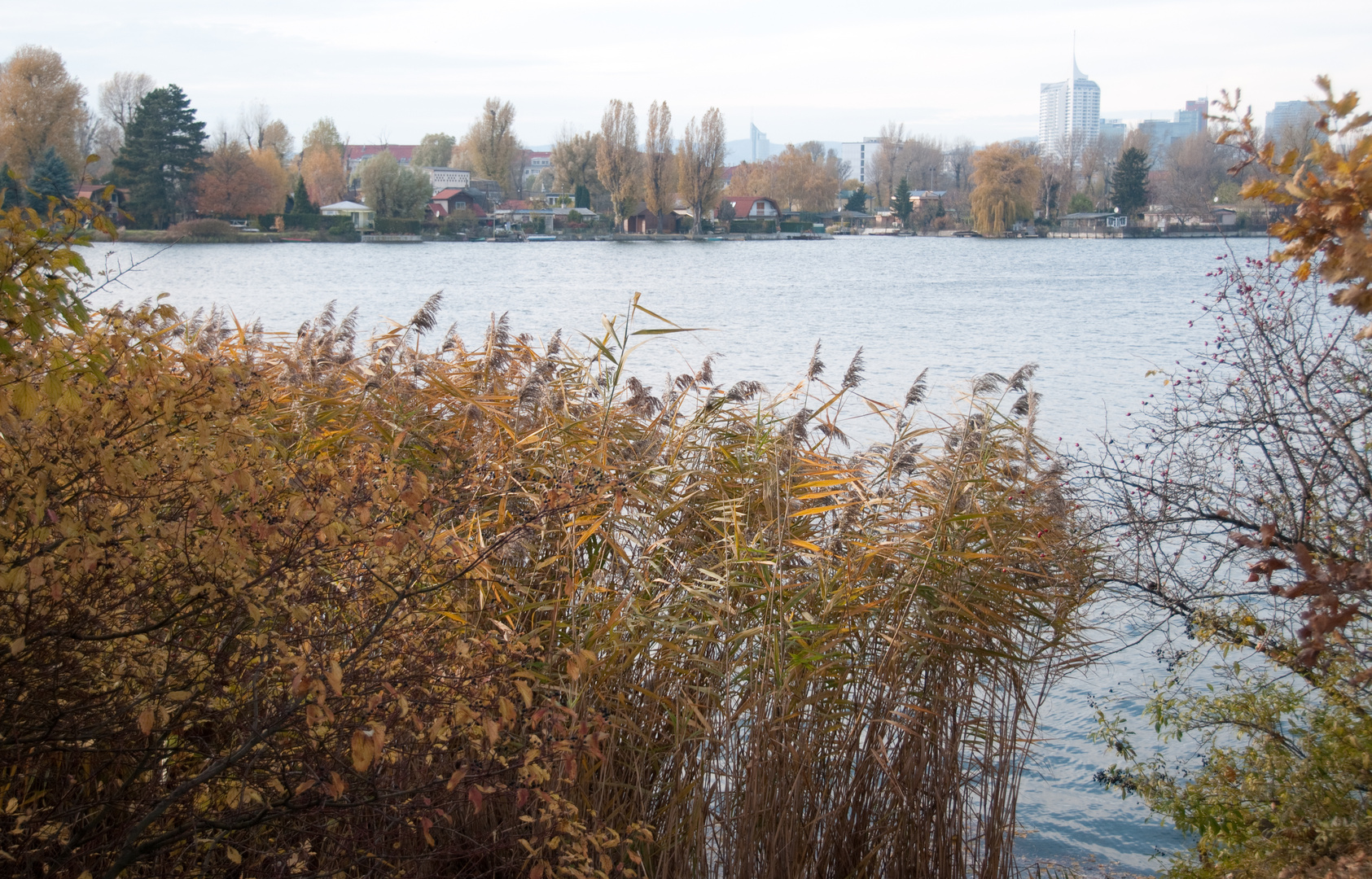 Herbst an der Alten Donau 5