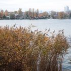 Herbst an der Alten Donau 5