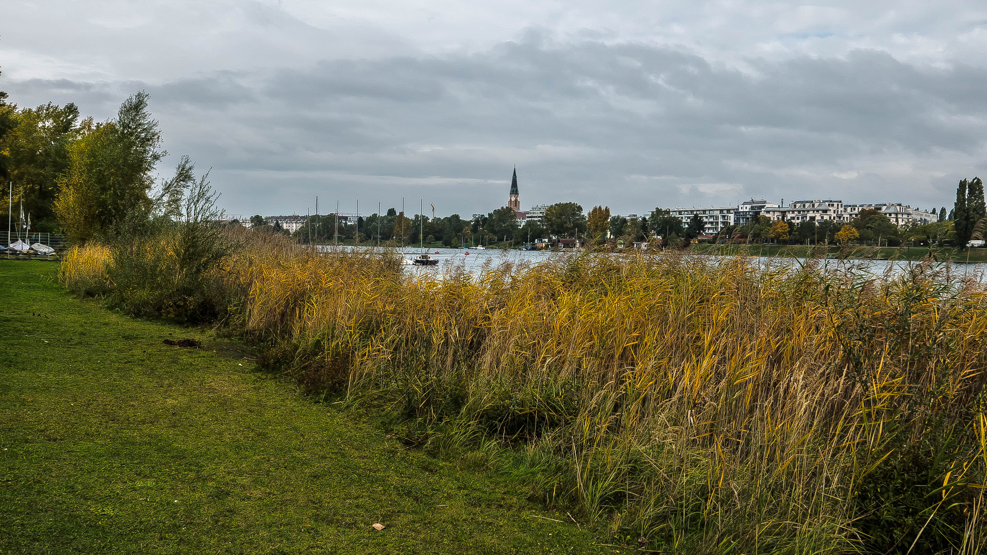 Herbst an der Alten Donau (5)