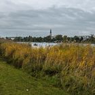 Herbst an der Alten Donau (5)