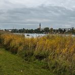 Herbst an der Alten Donau (5)