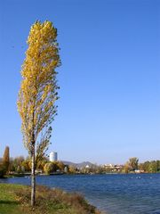 Herbst an der Alten Donau