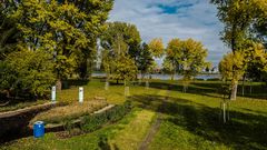 Herbst an der Alten Donau