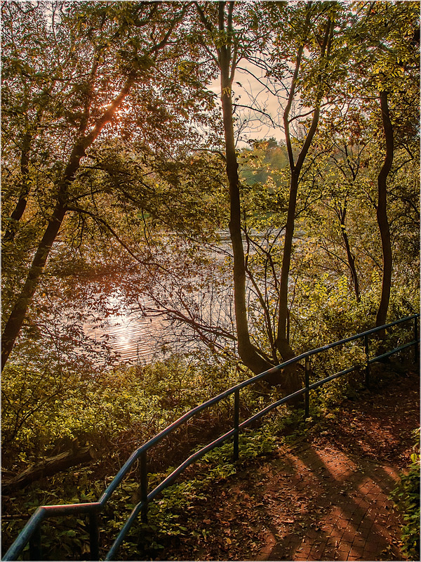 Herbst an der Alten Elbe