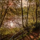 Herbst an der Alten Elbe