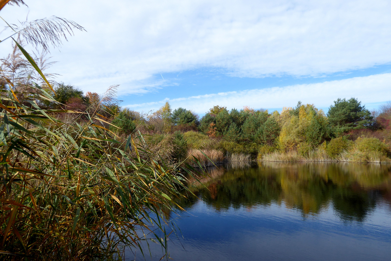 Herbst an der alten Lehmgrube