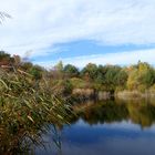 Herbst an der alten Lehmgrube