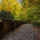 Herbst an der alten Mauer