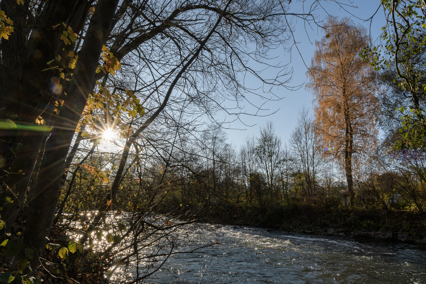 Herbst an der Amper